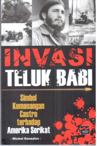 Invasi teluk babi