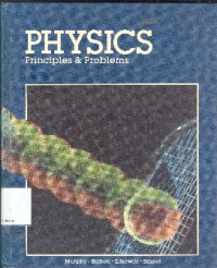Physics : principles & problems