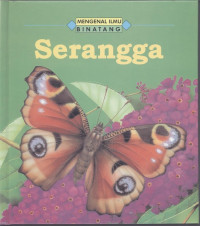 Serangga