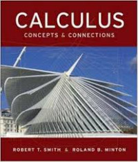 Calculus : concepts  connections