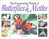 Image of The Fascinating world of Butterflies   Moths