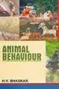 Animal behaviour