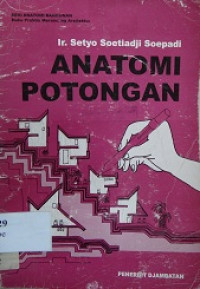 Anatomi potongan