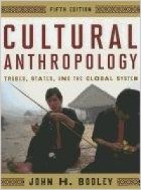 Cultural anthropology : tribes, states, and the global system