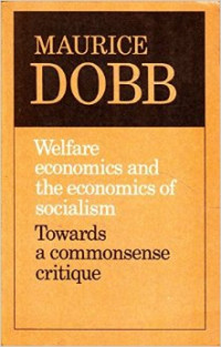 Welfare economics and the economics of socialism: towards a commonsense critique