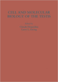 Cell and molecular biology of the testis