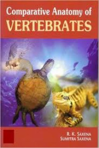 Comparative anatomy of vertebrates