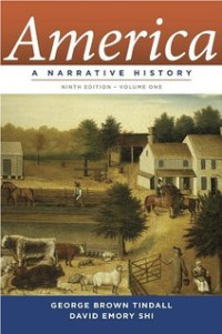 America : a narrative history