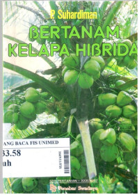 Bertanam kelapa hibrida