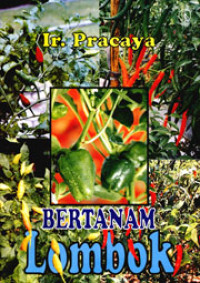 Bertanam lombok