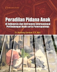 Peradilan pidana anak: di Indonesia dan instrumen internasional perlindungan anak serta penerapannya