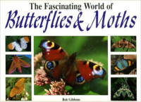 Image of The Fascinating world of Butterflies r Moths