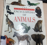 The little brown : encyclopedia of animals