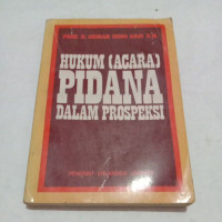 Hukum (acara) pidana dalam prospeksi