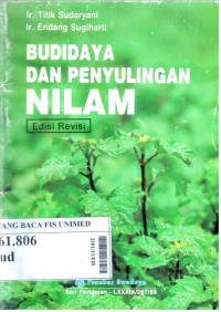 Budidaya dan penyulingan nilam