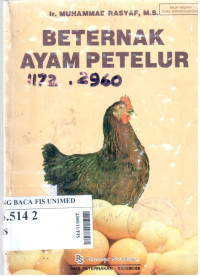 Beternak ayam petelur