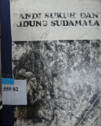 Image of Candi suku dan hidung sudamala