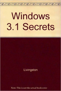 Window 3.1 Secrets
