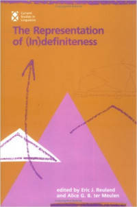 Image of The representation of (in) defenitenes