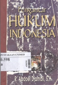 Pengantar hukum Indonesia