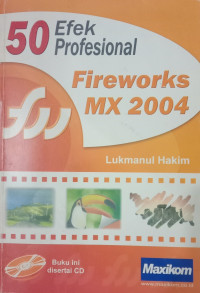 50 efek profesional fireworks MX 2004