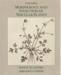 Morphology and evolution of vascular plants