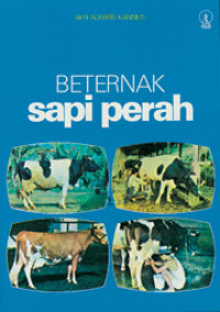 Beternak sapi perah