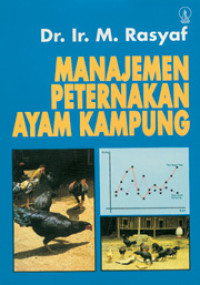 Manajemen peternakan ayam kampung