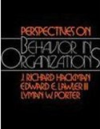 Perspektive on behaviour in organizations