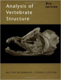 Vertebrate structure : analysis of