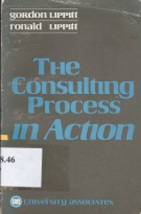 The consulting process in action