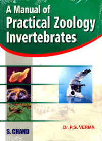 A manual of practical zoology invertebrates