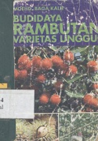 Budidaya rambutan varietas unggul