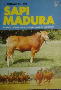 Sapi Madura : sebagai ternak kerja, potong, karapan dan sonok