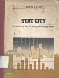 Stat city : understanding statistics theory realistic applications