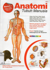 Anatomi tubuh manusia