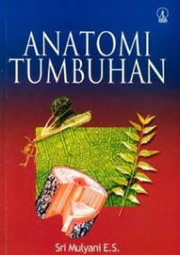 Anatomi Tumbuhan