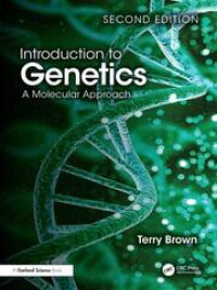 Image of Introduction to Genetics a Molecular Approach