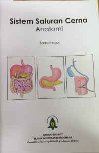 Sistem saluran cerna anatomi