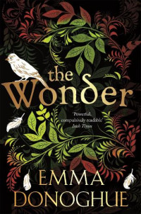 The wonder : powerful, compulsively readable irish time