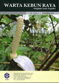 Koleksi spontan kebun raya bogor dari suku araceae: lutut jerapah (gonatopus boivinii (decne.) engl.)